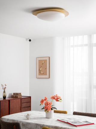 Solara Plafonnier Galet en Noyer Acrylique LED