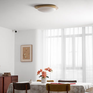 Solara Plafonnier Galet en Noyer Acrylique LED