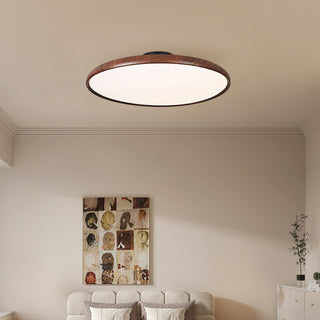 Ishaos Moderne Minimaliste Réglable Plafonnier