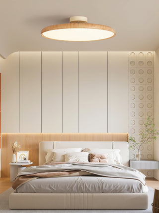 Ishaos Moderne Minimaliste Réglable Plafonnier