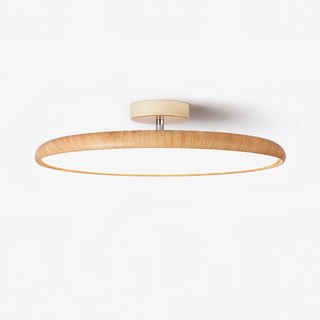 Ishaos Moderne Minimaliste Réglable Plafonnier
