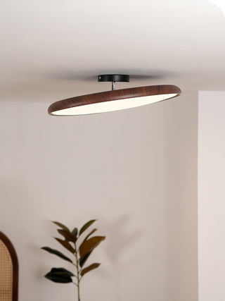 Ishaos Moderne Minimaliste Réglable Plafonnier