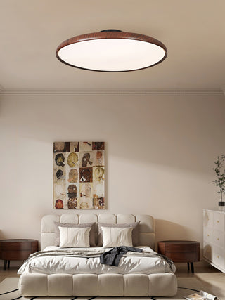 Ishaos Moderne Minimaliste Réglable Plafonnier