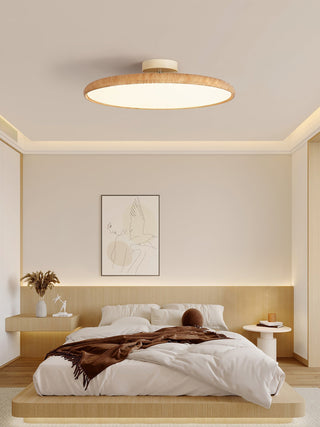 Ishaos Moderne Minimaliste Réglable Plafonnier