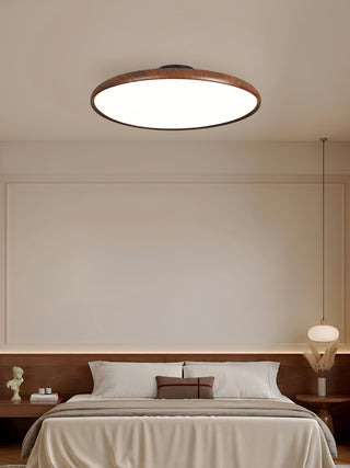 Ishaos Moderne Minimaliste Réglable Plafonnier