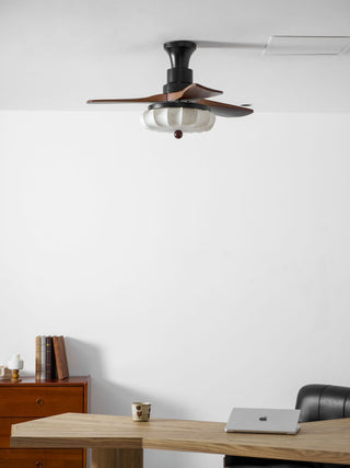 Jasper Bloom Luminaire pour ventilateur de plafond