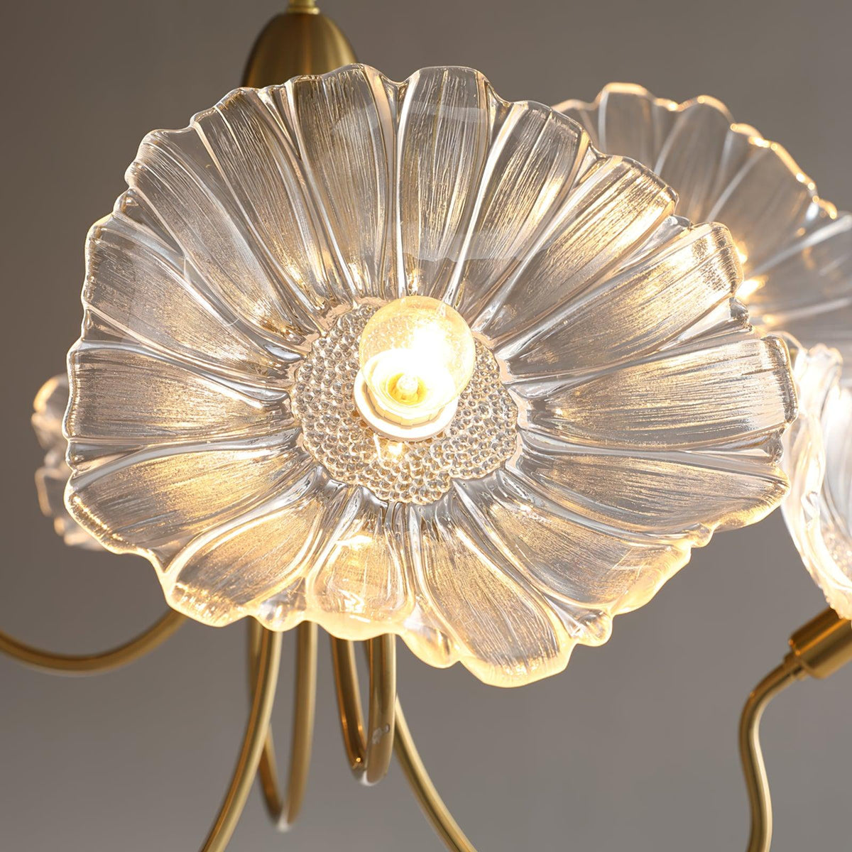 Darelia Lustre Feuille de Lotus en Verre
