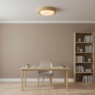 Lunor Ring Ceiling Light-Neutral Decor