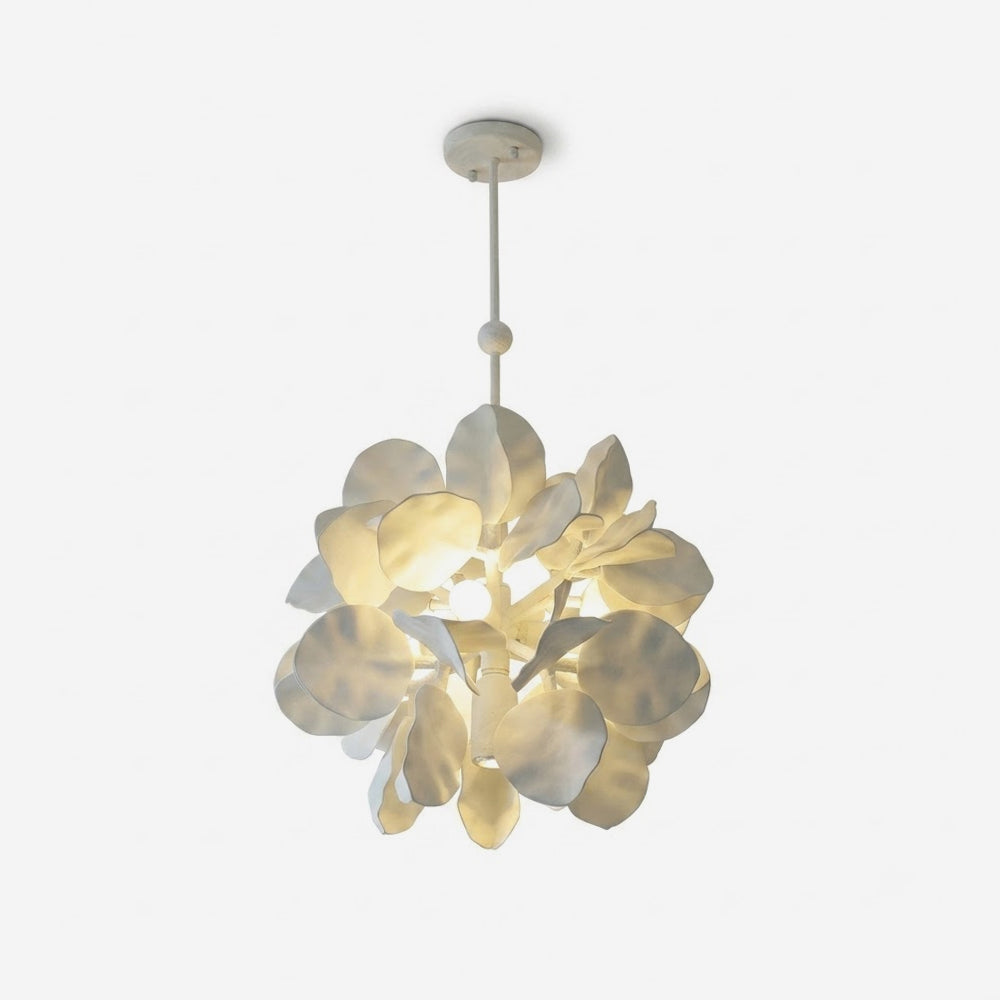 Caleette Suspension