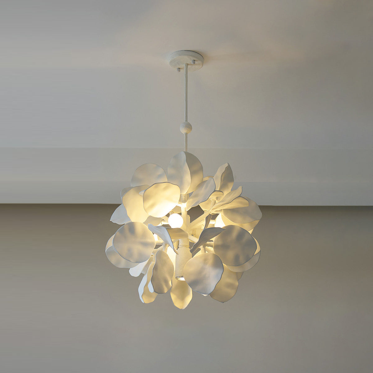 Caleette Suspension