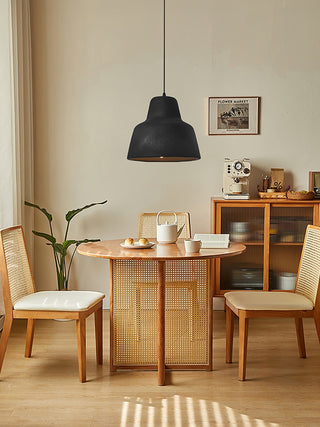 Zavela Suspension en Plastique d'Art Nordique Premium