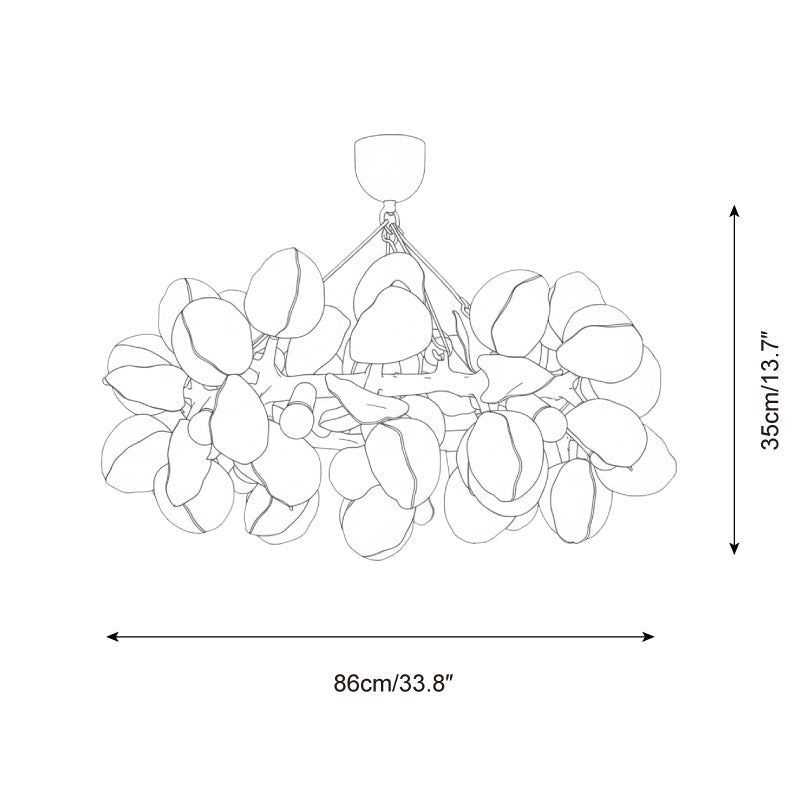 Soriella Lustre