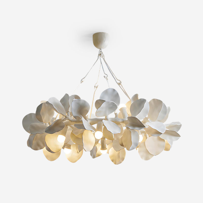 Soriella Lustre