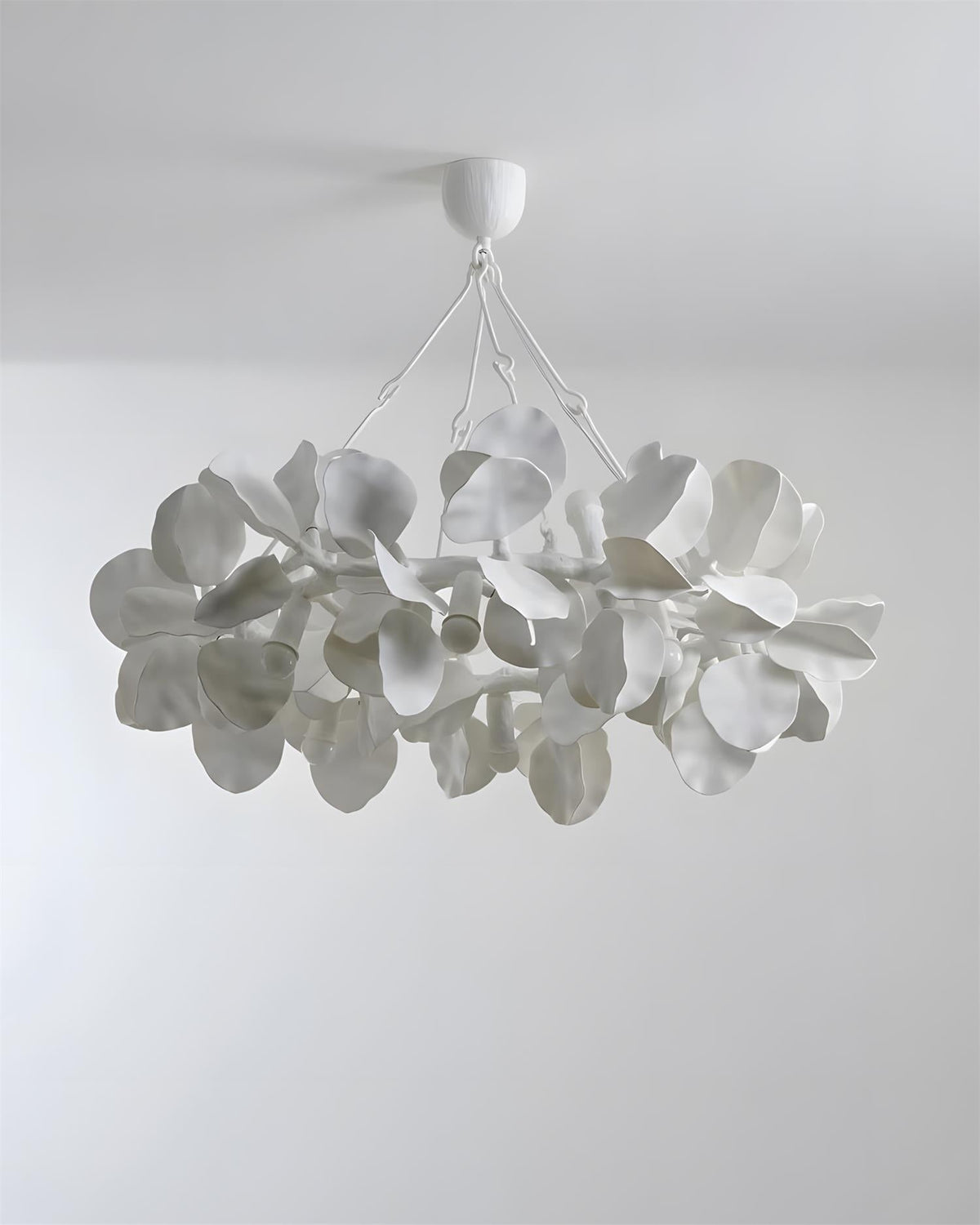 Soriella Lustre