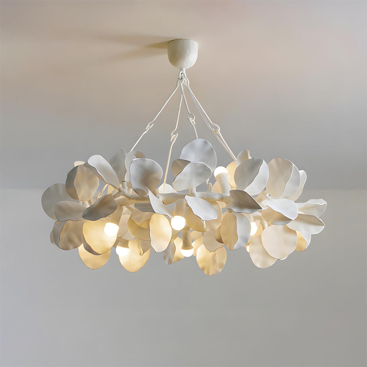 Soriella Lustre