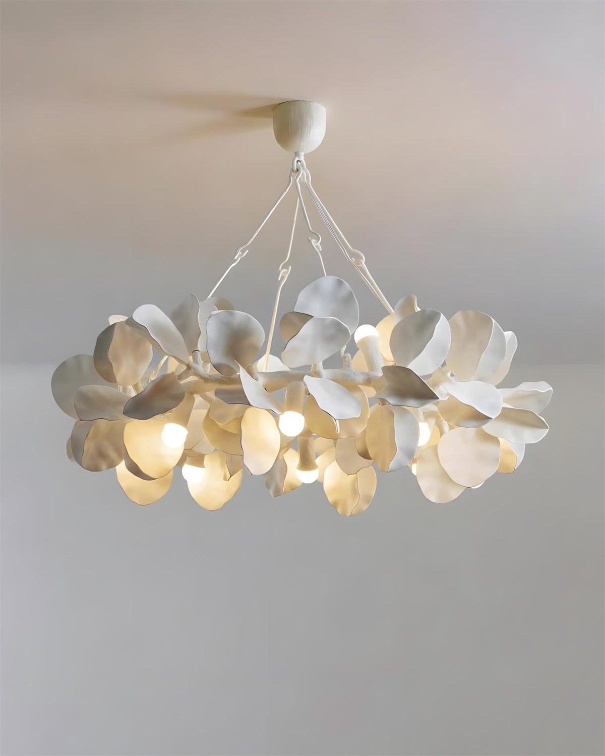 Soriella Lustre
