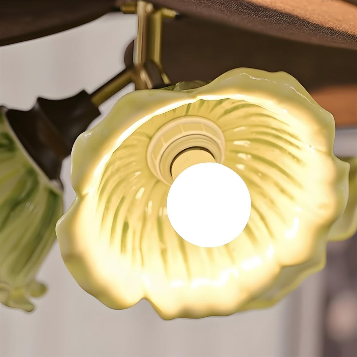 Mirivelia Suspension