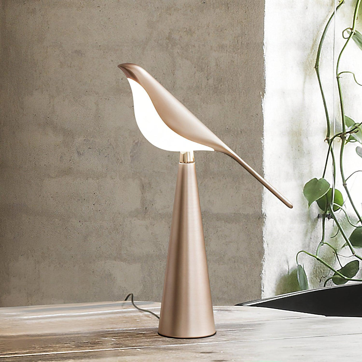 Selenaine Lampe de Table Moderne