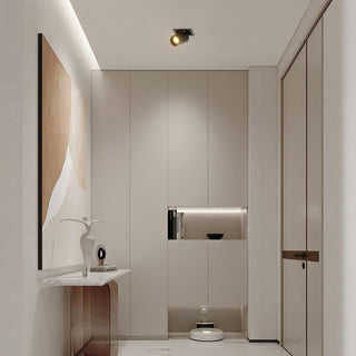 Lustra Plafonnier Métallique Moderne