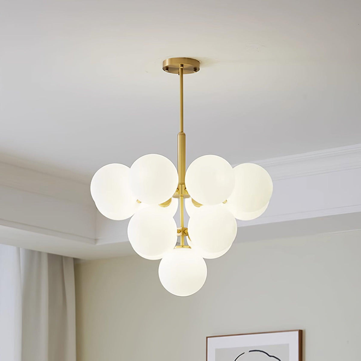 Miruiella Suspension