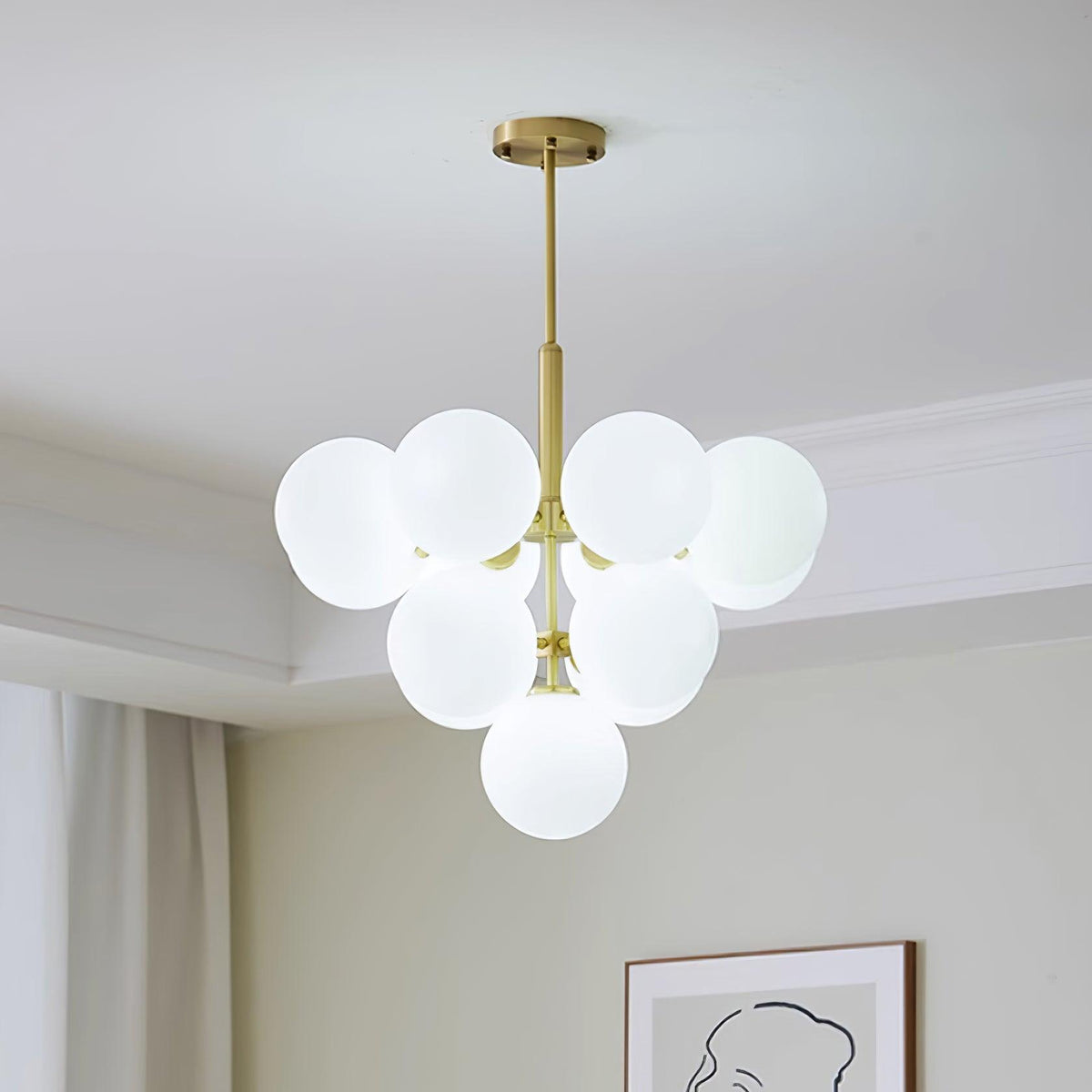 Miruiella Suspension