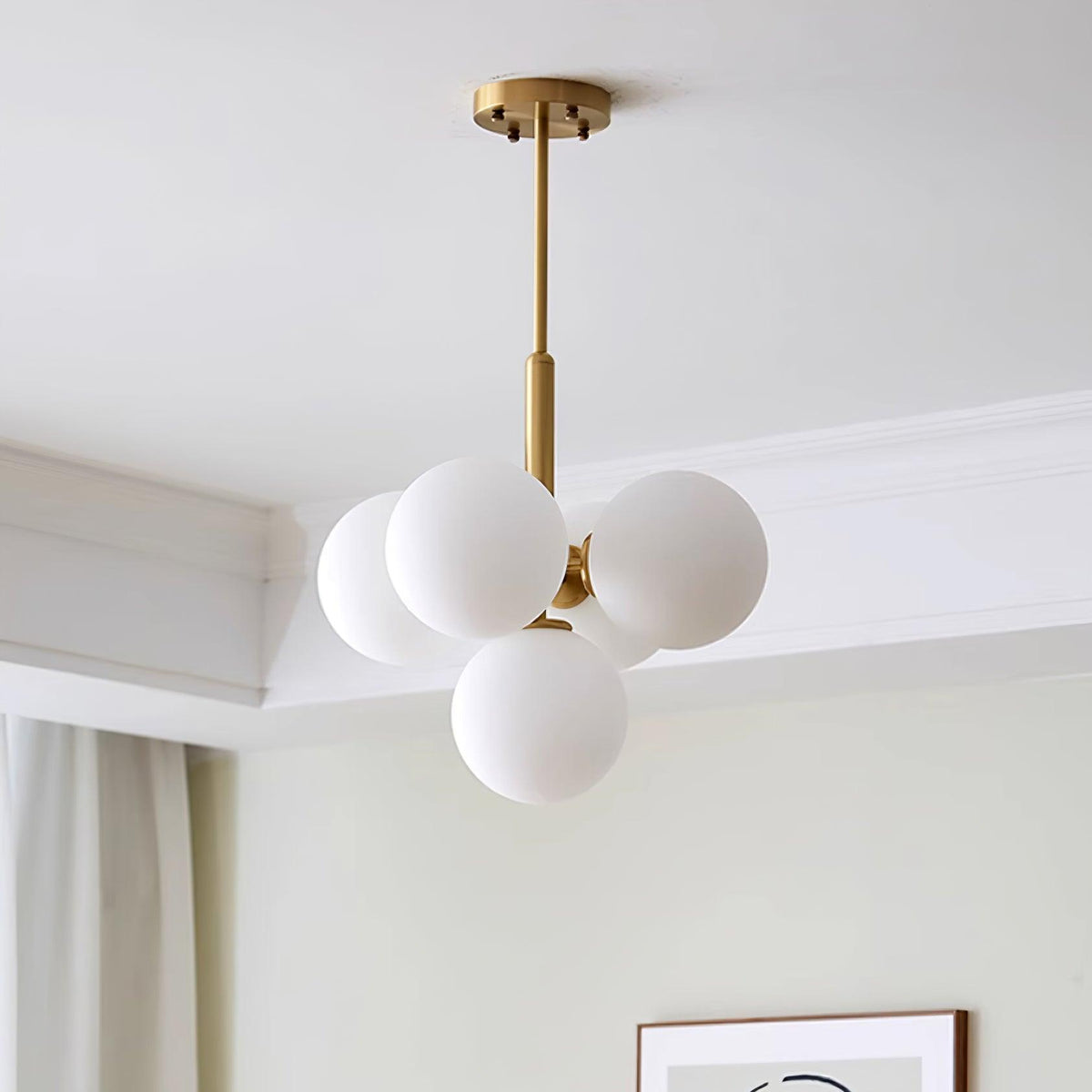 Miruiella Suspension