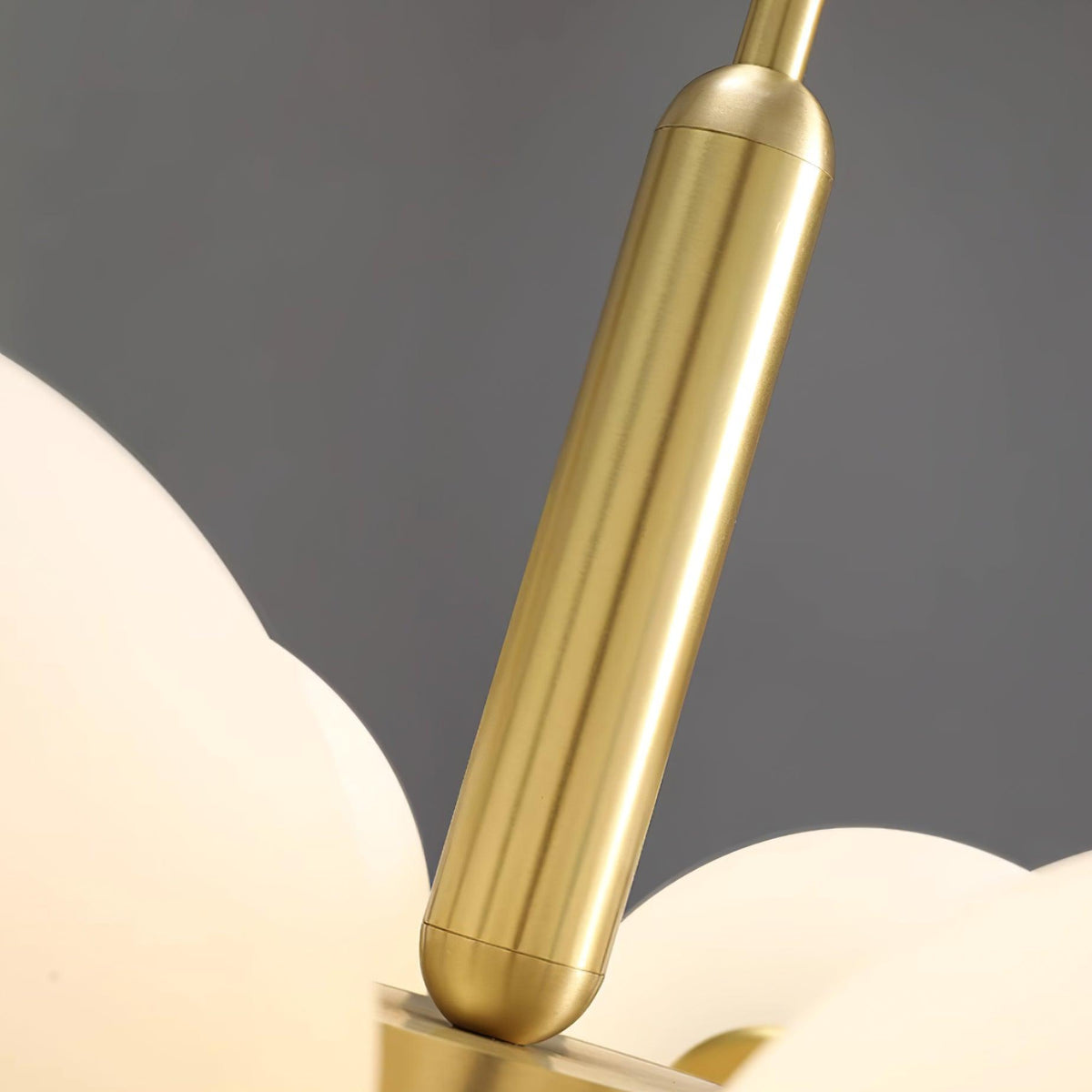 Miruiella Suspension