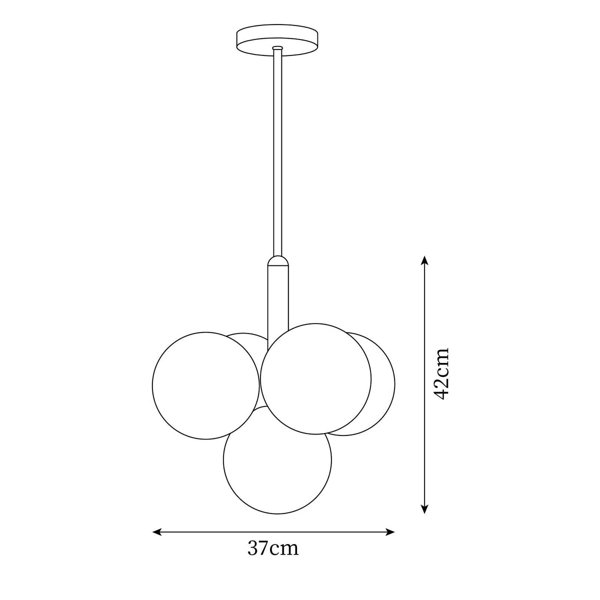 Miruiella Suspension