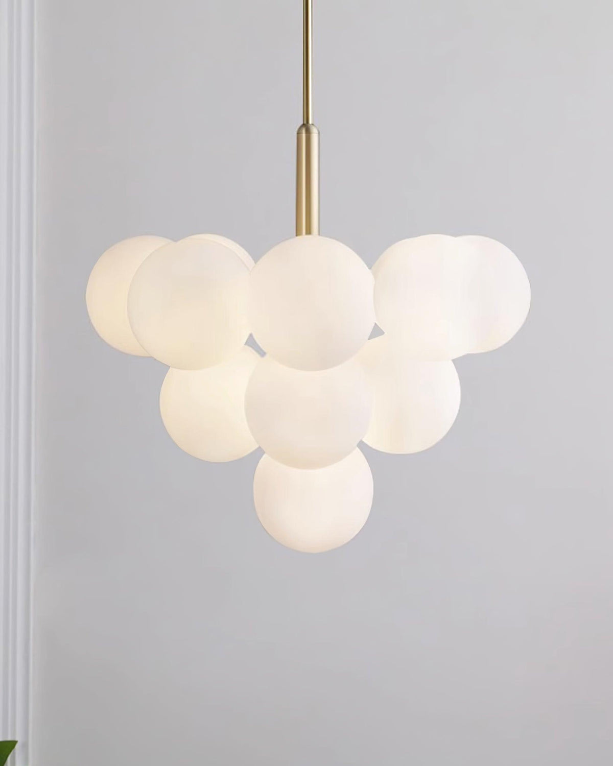 Miruiella Suspension