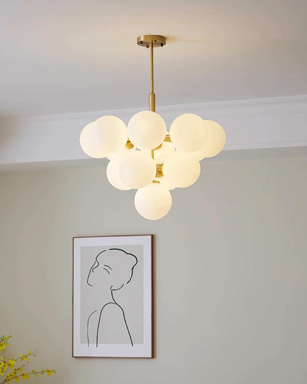 Miruiella Suspension