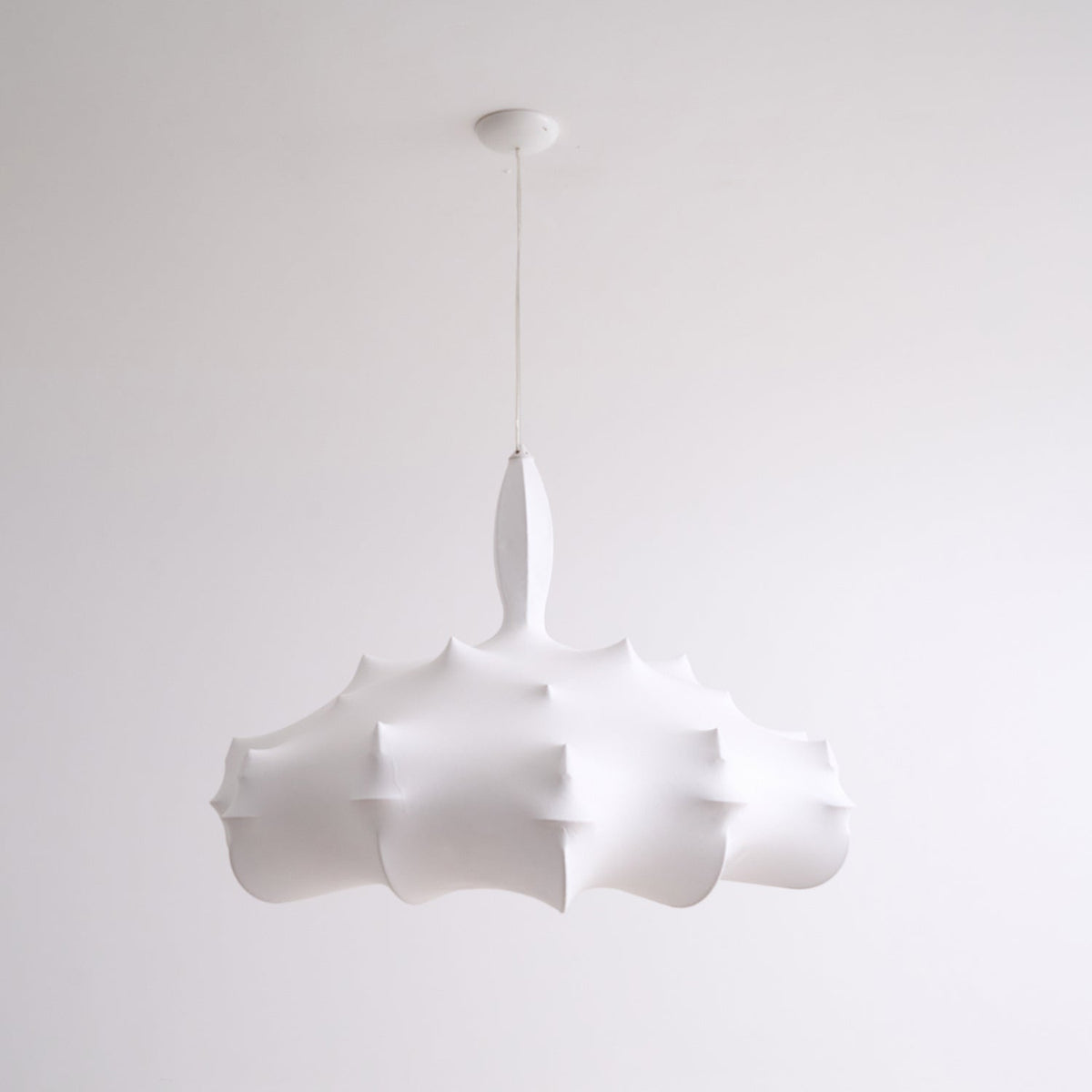 Noralette Suspension
