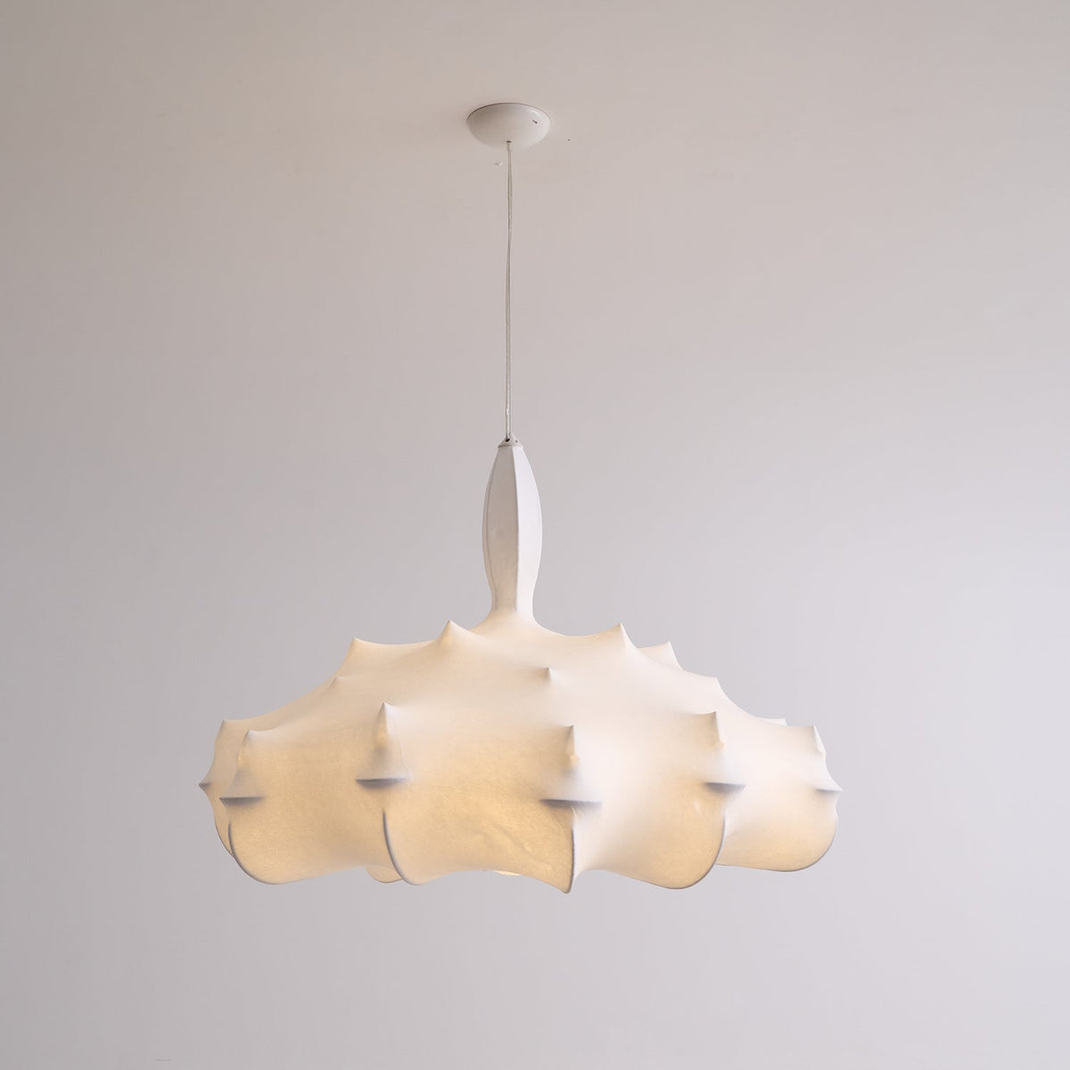 Noralette Suspension