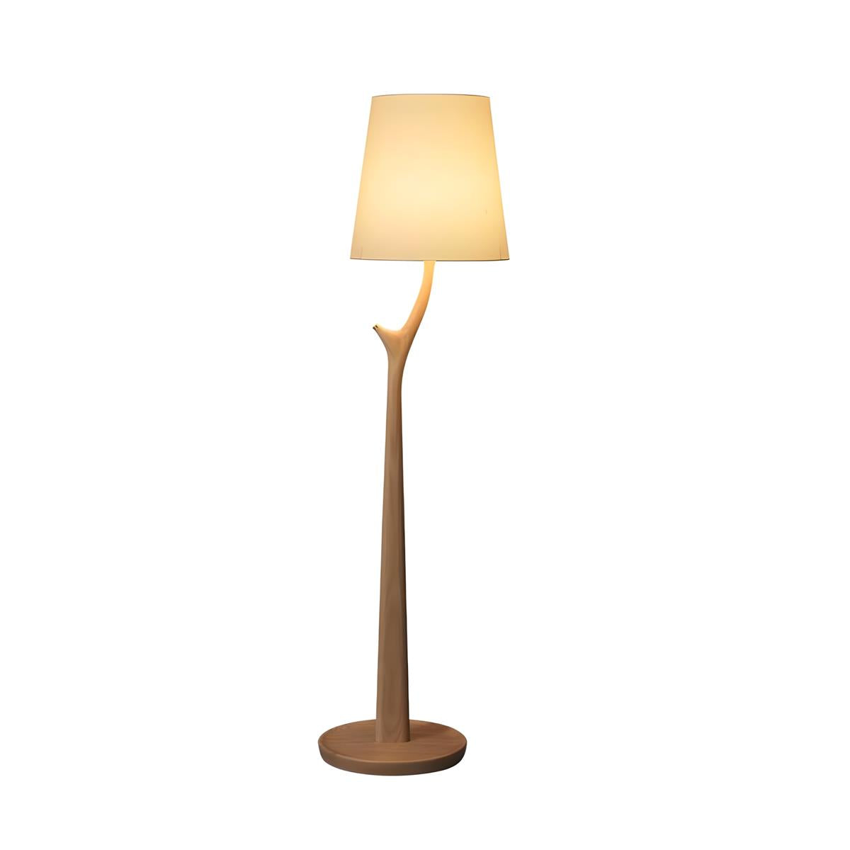 Norinia Lampadaire