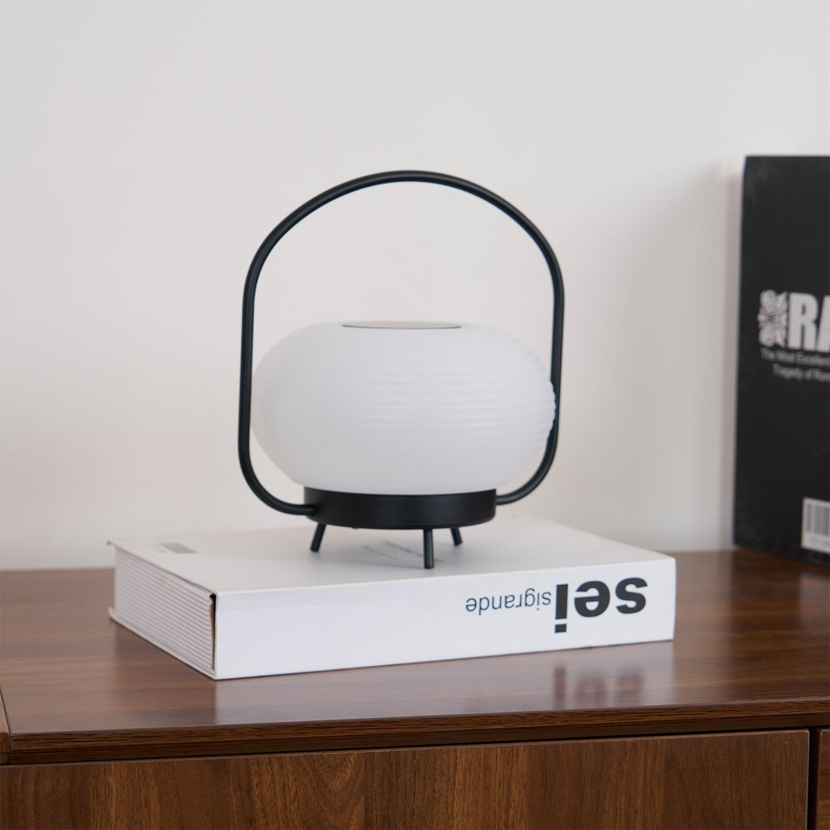 Saelan Lampe de Table Minimaliste