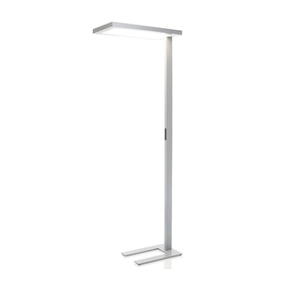 Cithaara Sleek Floor Lamp-Neutral Decor