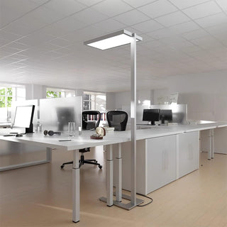 Cithaara Sleek Floor Lamp-Neutral Decor