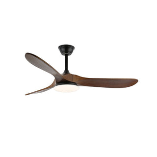 Liorueria Ventilateur de Plafond Lumineux
