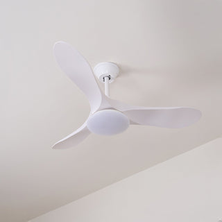 Ventilateur de plafond NovaVent avec lumière