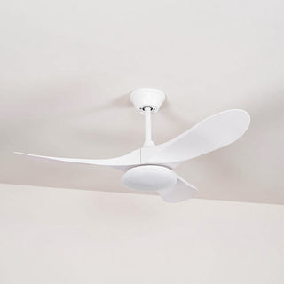 Liorueria Ventilateur de Plafond Lumineux