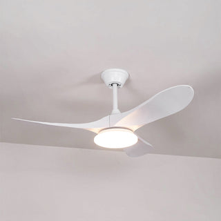 Liorueria Ventilateur de Plafond Lumineux