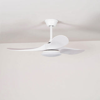 Liorueria Ventilateur de Plafond Lumineux