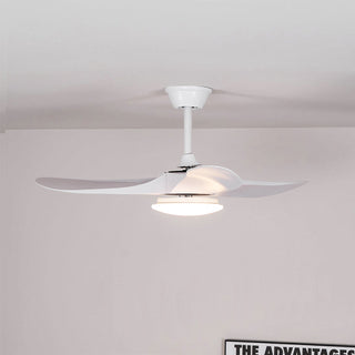 Liorueria Ventilateur de Plafond Lumineux
