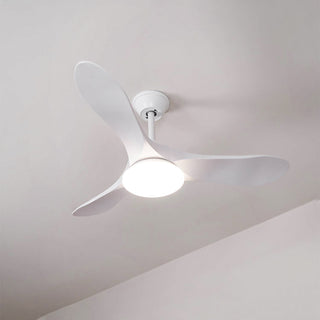 Liorueria Ventilateur de Plafond Lumineux