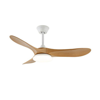 Liorueria Ventilateur de Plafond Lumineux