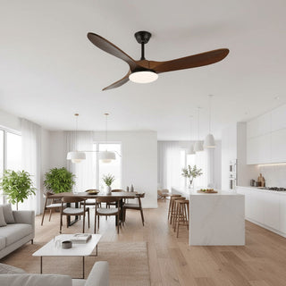 Liorueria Ventilateur de Plafond Lumineux