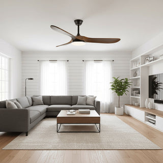 Liorueria Ventilateur de Plafond Lumineux