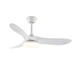 Ventilateur de plafond NovaVent avec lumière