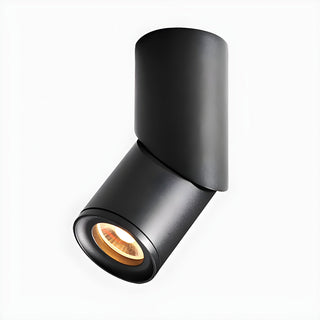 Ivinir Lampe Plafonnier Surface Pivotante Minimaliste Moderne