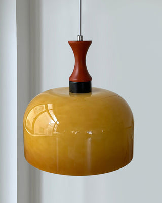 Lioraer Suspension Lampe Rétro en Verre