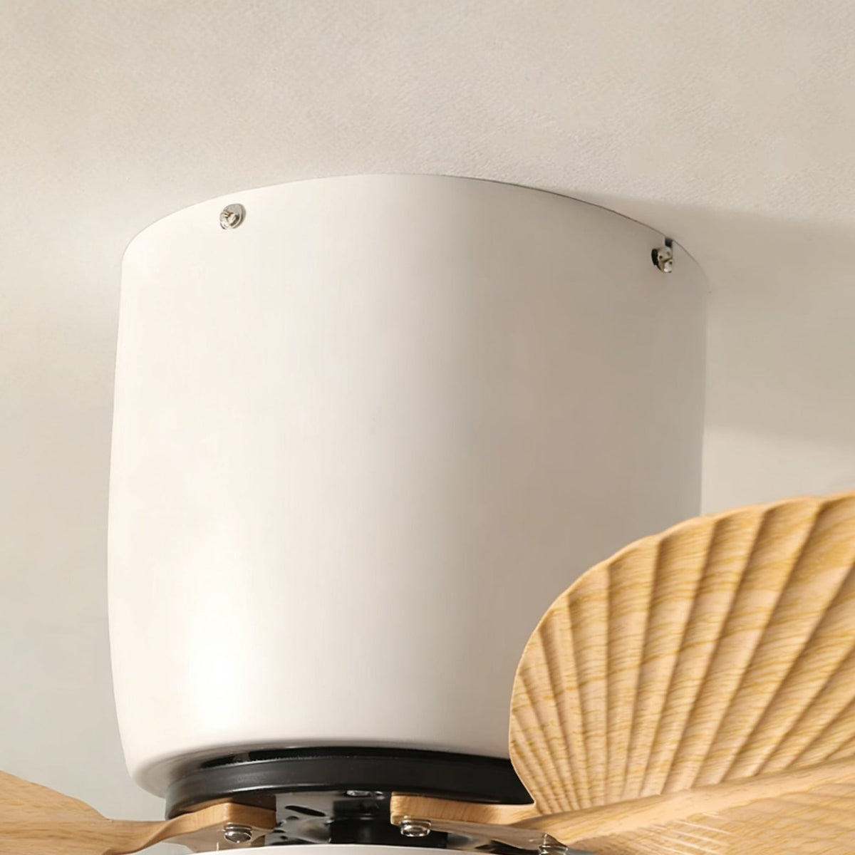 The Melorie fan in black finish, shown in a modern office space.